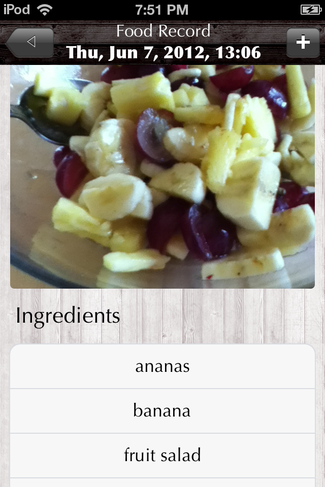 food_record_I
